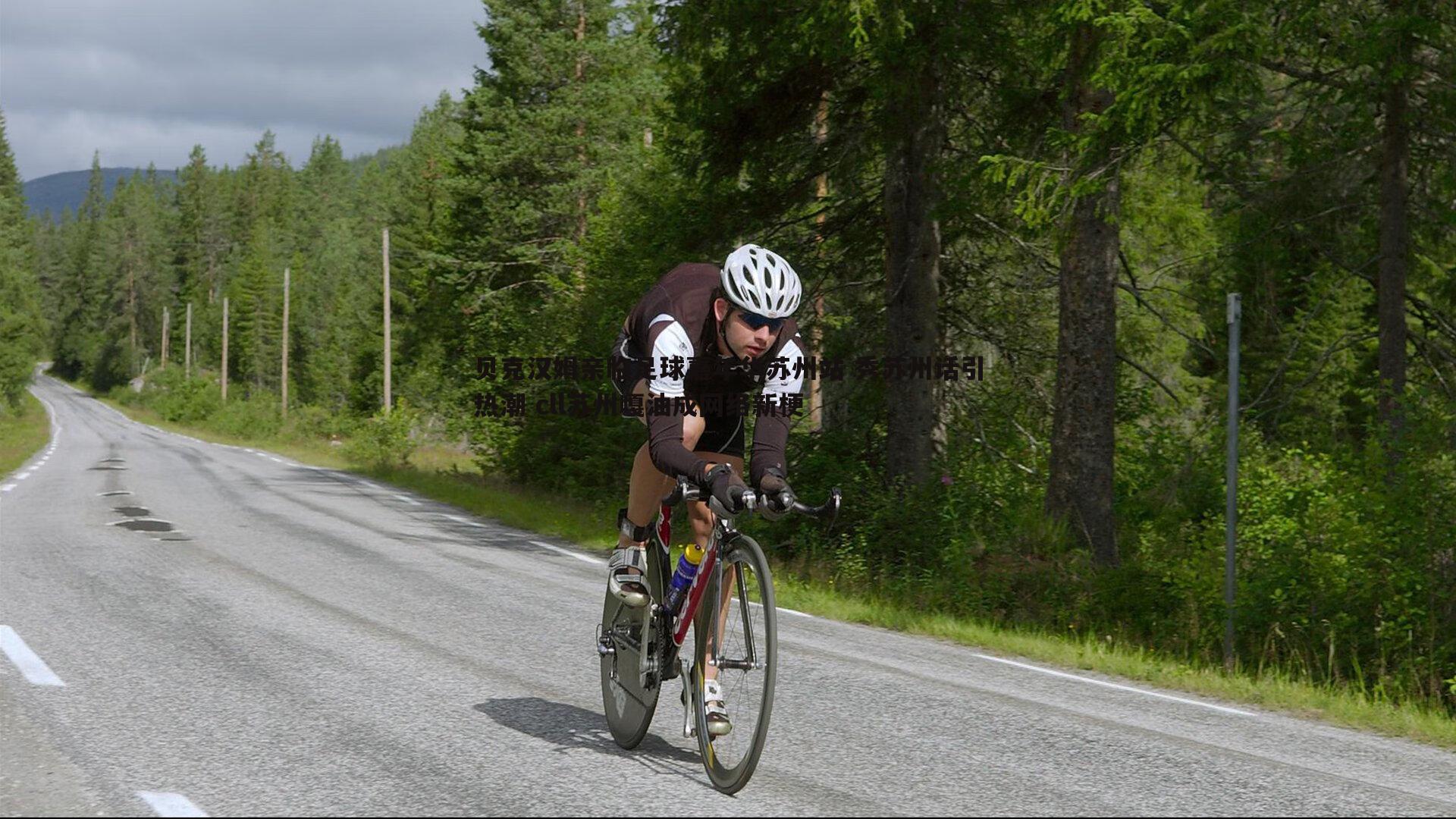 优游国际-贝克汉姆亲临足球嘉年华苏州站 秀苏州话引热潮 cll苏州嘎油成网络新梗