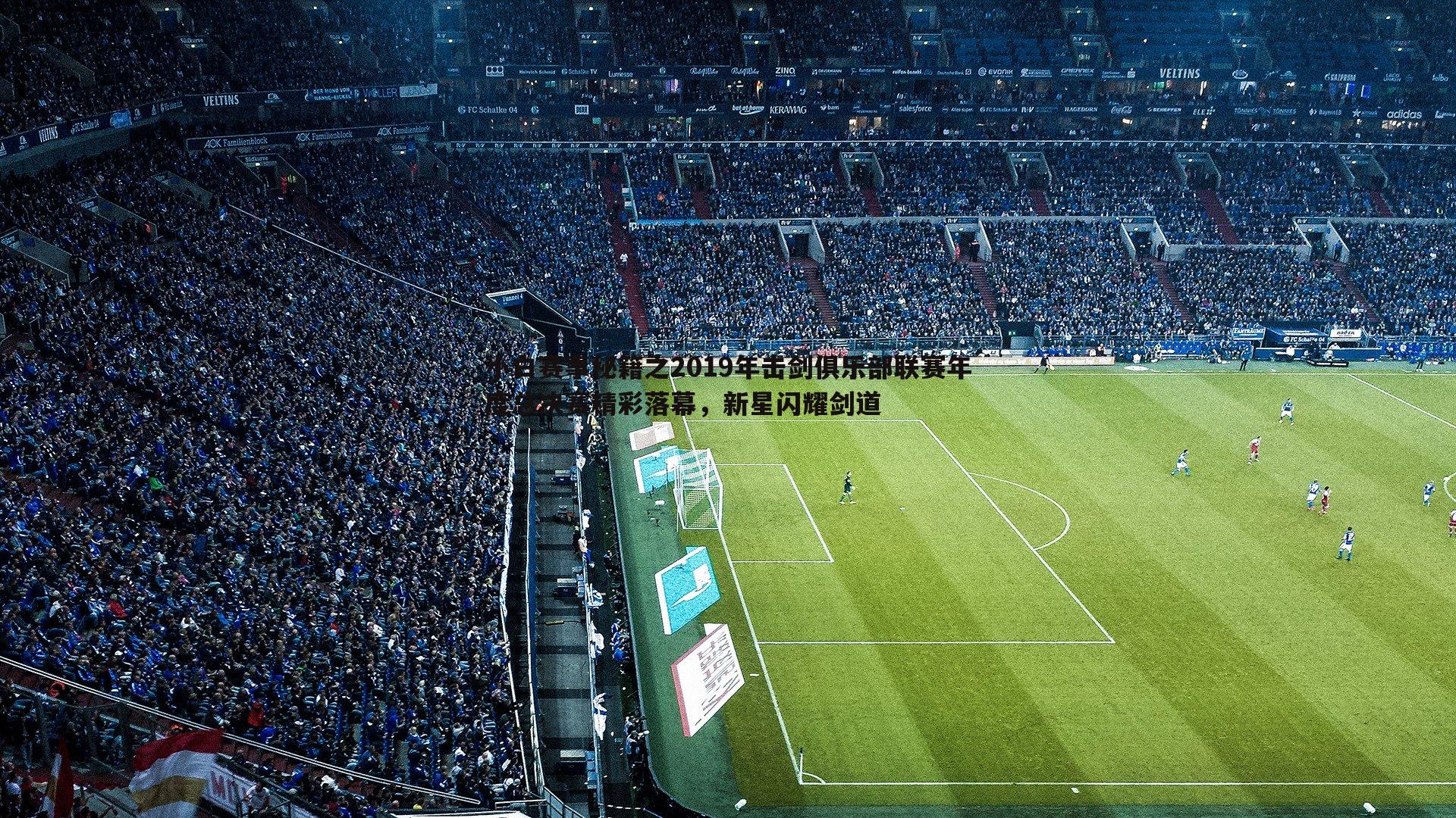 小白赛事秘籍之2019年击剑俱乐部联赛年度总决赛精彩落幕，新星闪耀剑道